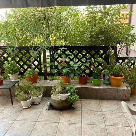 아파트 Privatna Kuca Milka *